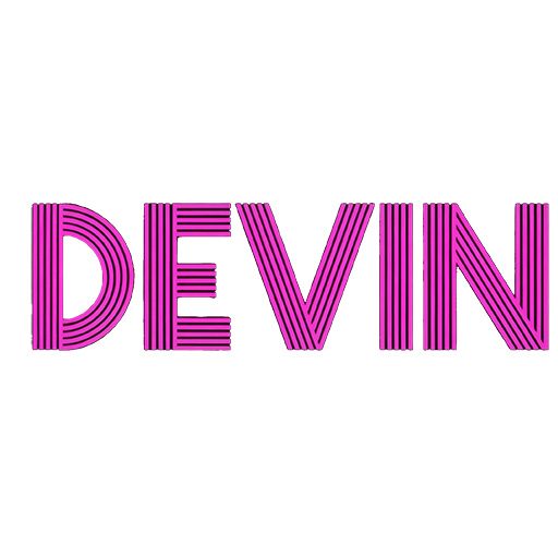 فروشگاه اینترنتی devinclothes
